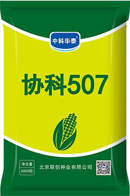 協科507