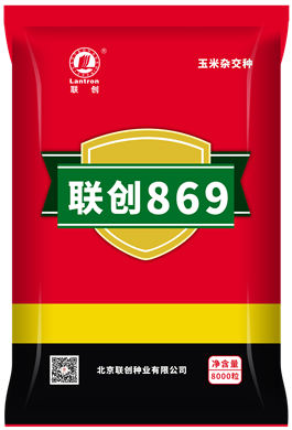 聯創869